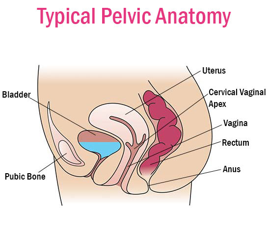 Female Pelvic Health Center - Bucks County PA Urogynecologist